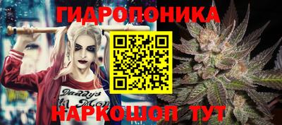 спайс Тара