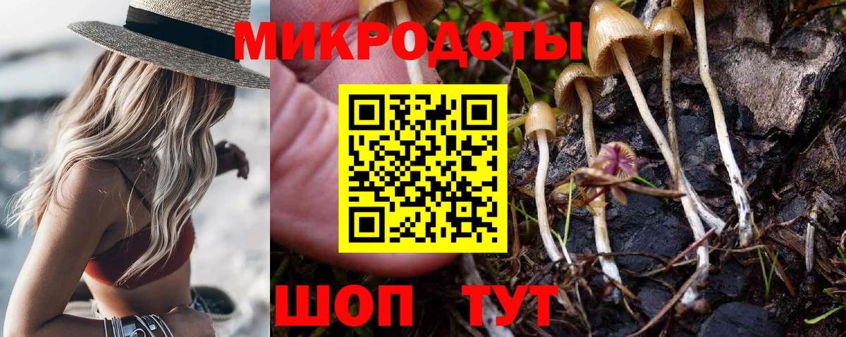 Галлюциногенные грибы прущие грибы  Вход с VPN  Галлюциногенные грибы ЛСД  Полысаево 